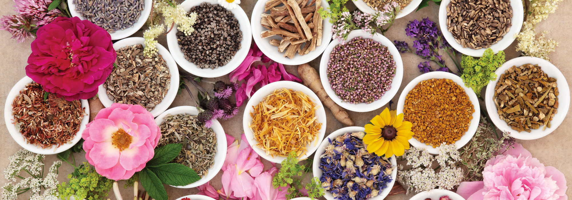 Different herbs and spices in bowls