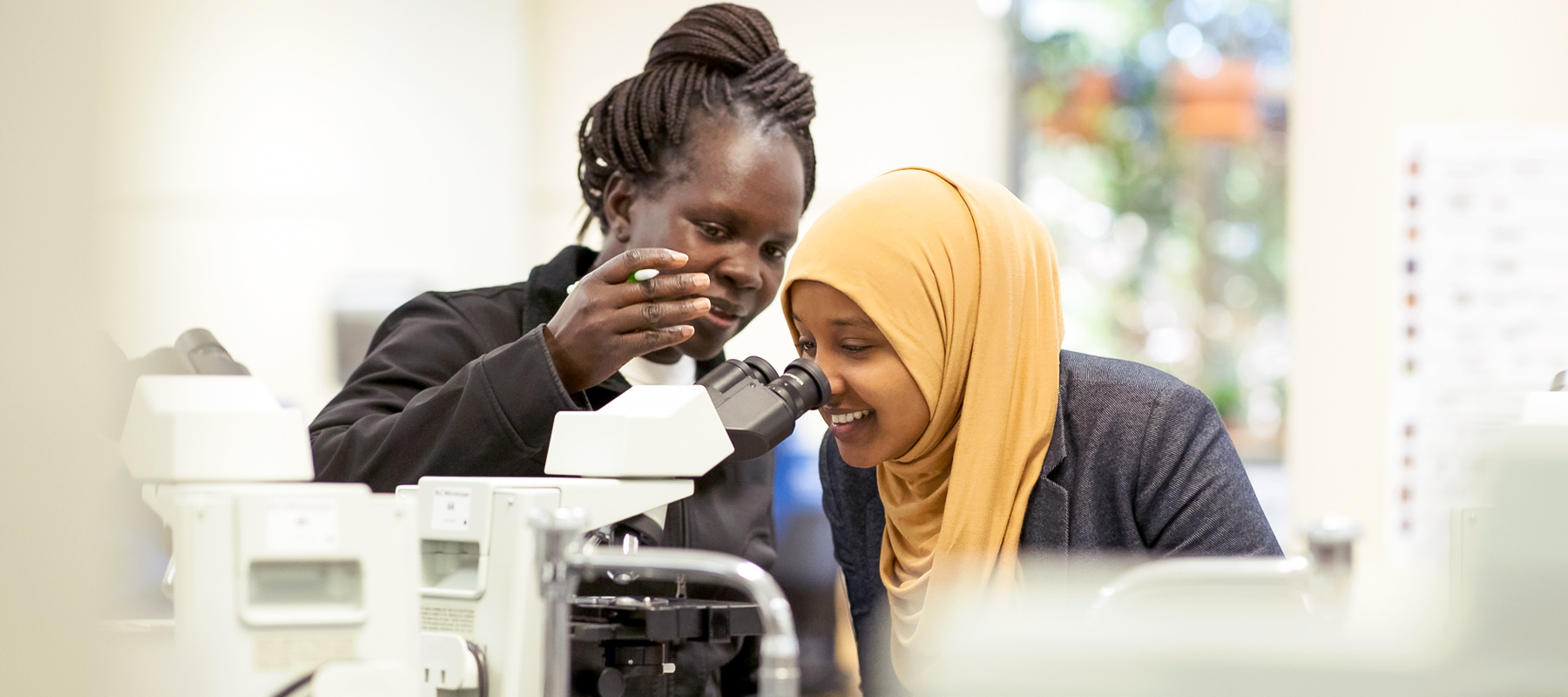 Two Normandale students study at microscopes in the Biology lab