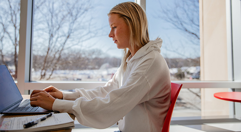 A Normandale student searches on a computer.