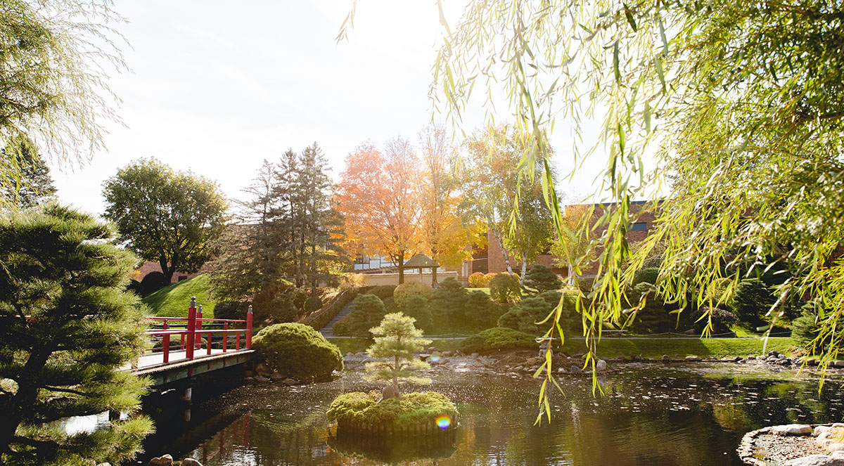 Normandale Japanese garden